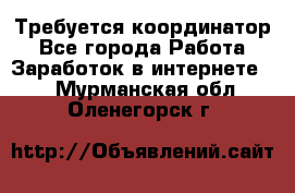 Требуется координатор - Все города Работа » Заработок в интернете   . Мурманская обл.,Оленегорск г.